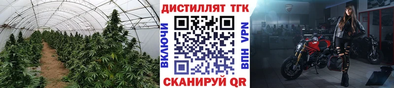 ТГК вейп с тгк  как найти закладки  Губкинский 