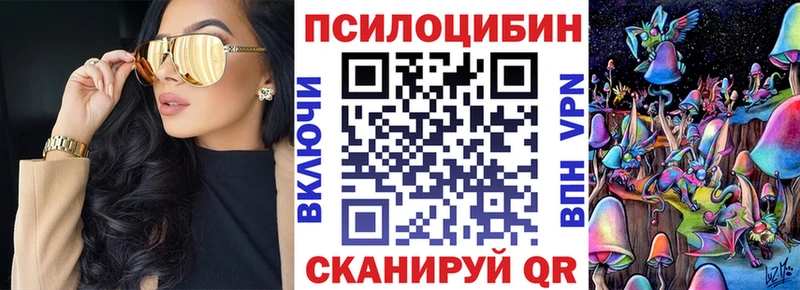 Галлюциногенные грибы Psilocybe  закладки  Губкинский 